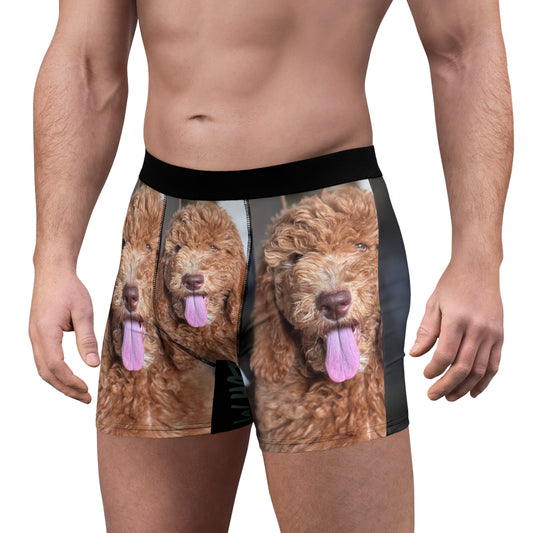 Men's HUDSON boxer brief